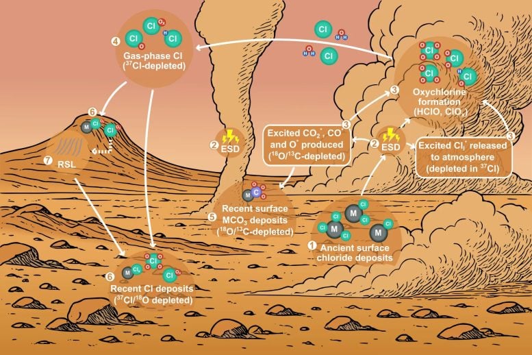 Conceptual Model of the Mars Global Contemporary Surface Atmosphere Cl Cycle and Air Borne Carbonates