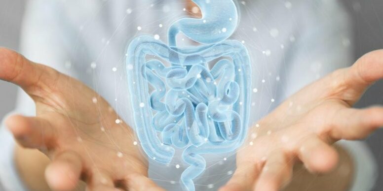 Doctor-Holographic-Human-Gut-777×467.jpg