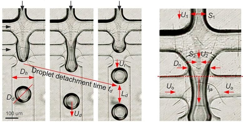 Formation of Droplets From Fluid Jets