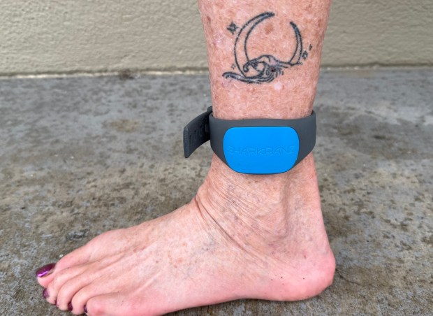 Sharen Carey purchased a Sharkbanz after fellow swimmer and Kelp Krawler Steve Bruemmer was bitten by a shark in 2022 knowing its limitations. She was wearing the device on Dec. 21st as she swam with Erica Fox and other Kelp Krawlers. (Photo by Sharen Carey)