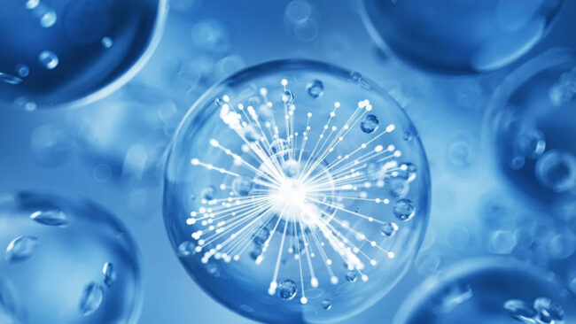 b9c784f07b00bf39649731bb86dab5ee