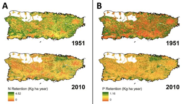 c625ea7e245a6a00bc0087af76f52913