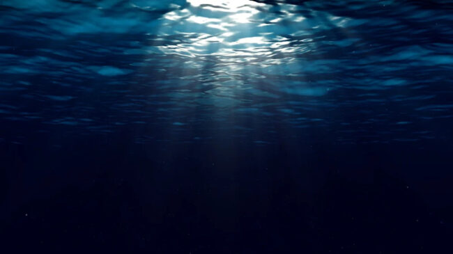 e1451a049d0c494f2845e161663afbe5