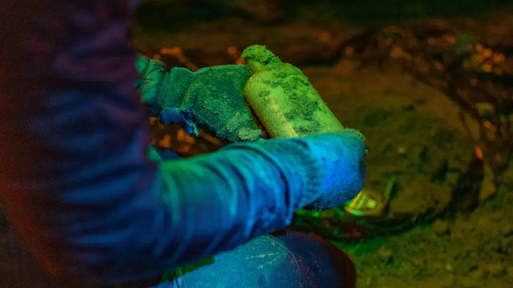 experimento con semillas