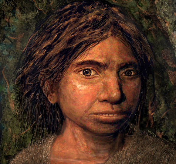 Image 7610 1 Denisovan