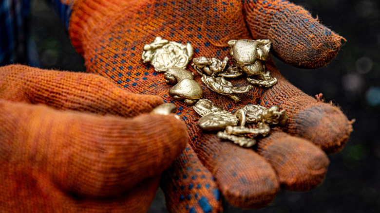 Gold nuggets in gloved hands