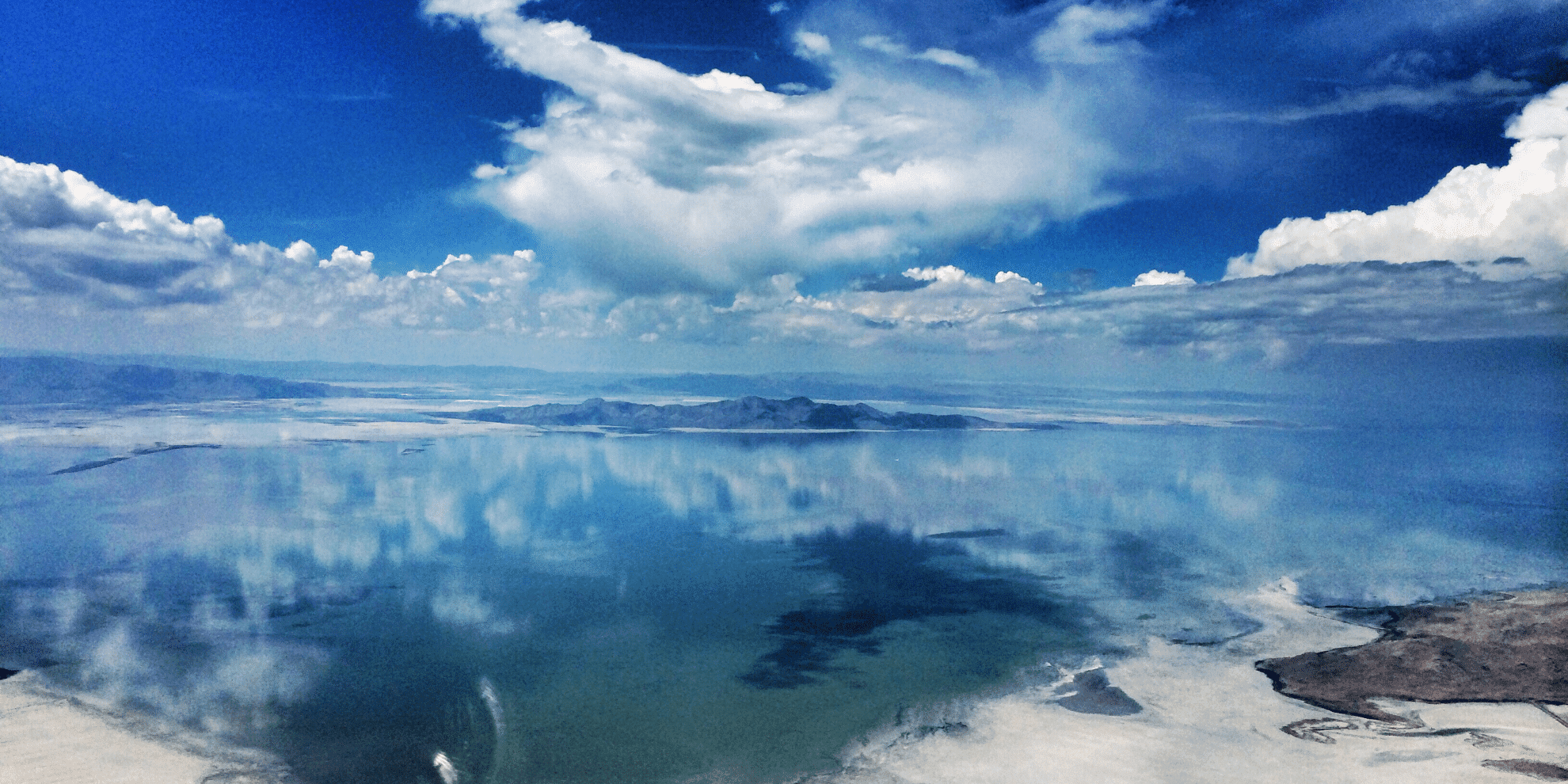 scientists-discover-creature-no-one-thought-could-live-in-the-great-salt-lake.png