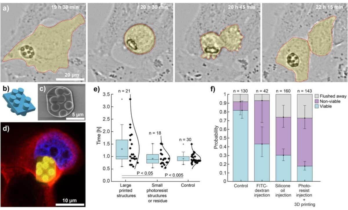 Viability Of Cells With Printed Structures. ©advanced Materials