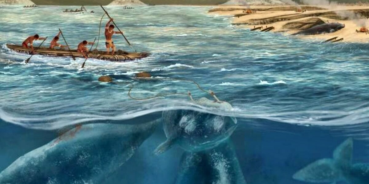 whale-hunting-132959640-16x9_0.jpeg