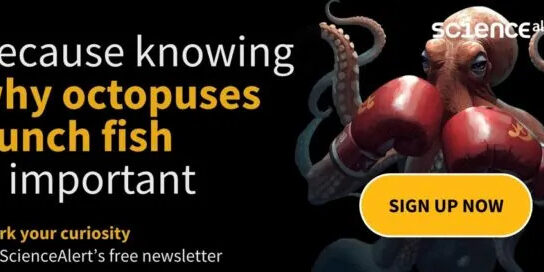 8382e5440cc699403fe76d744c507db9