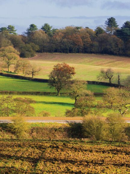 Farmland-471617361_C_kodachrome25_iStockphoto-1024×577.jpg