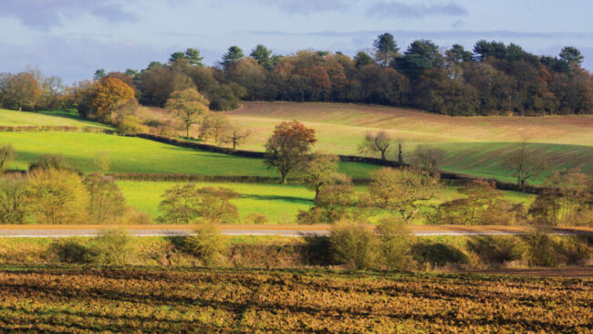 Farmland-471617361_C_kodachrome25_iStockphoto-1024×577.jpg