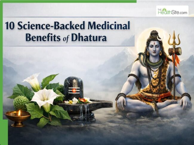 Maha-Shivratri-2026-10-Science-Backed-Medicinal-Benefits-of-Dhatura-The-Sacred-Plant-Offered-to-Lord-Shiva.jpg