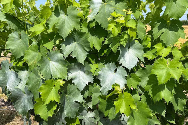 b0cbd208fe2b4701def351713e35d6cd