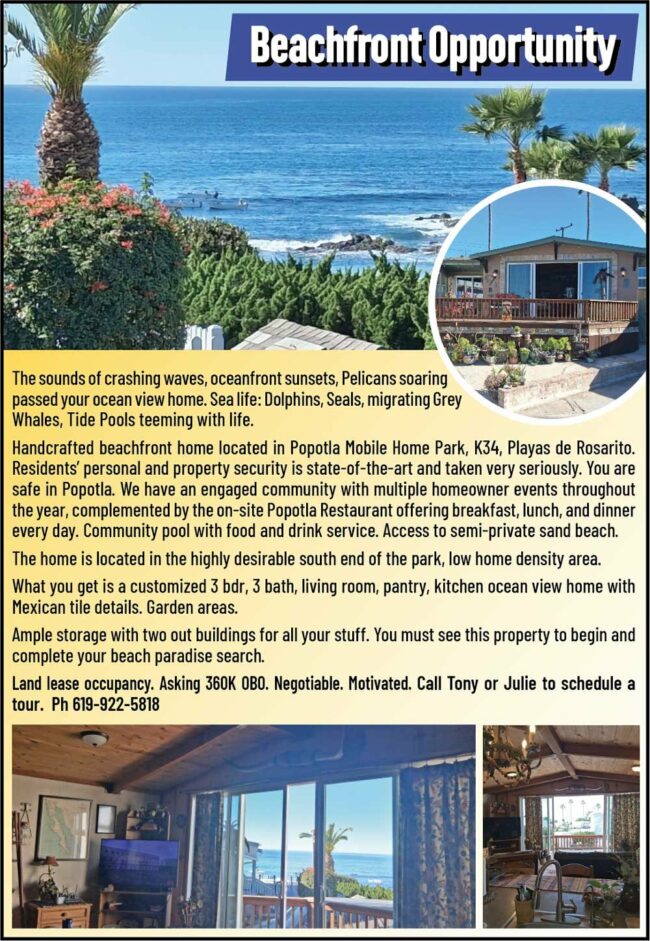 beachfrontOpportunity.jpg