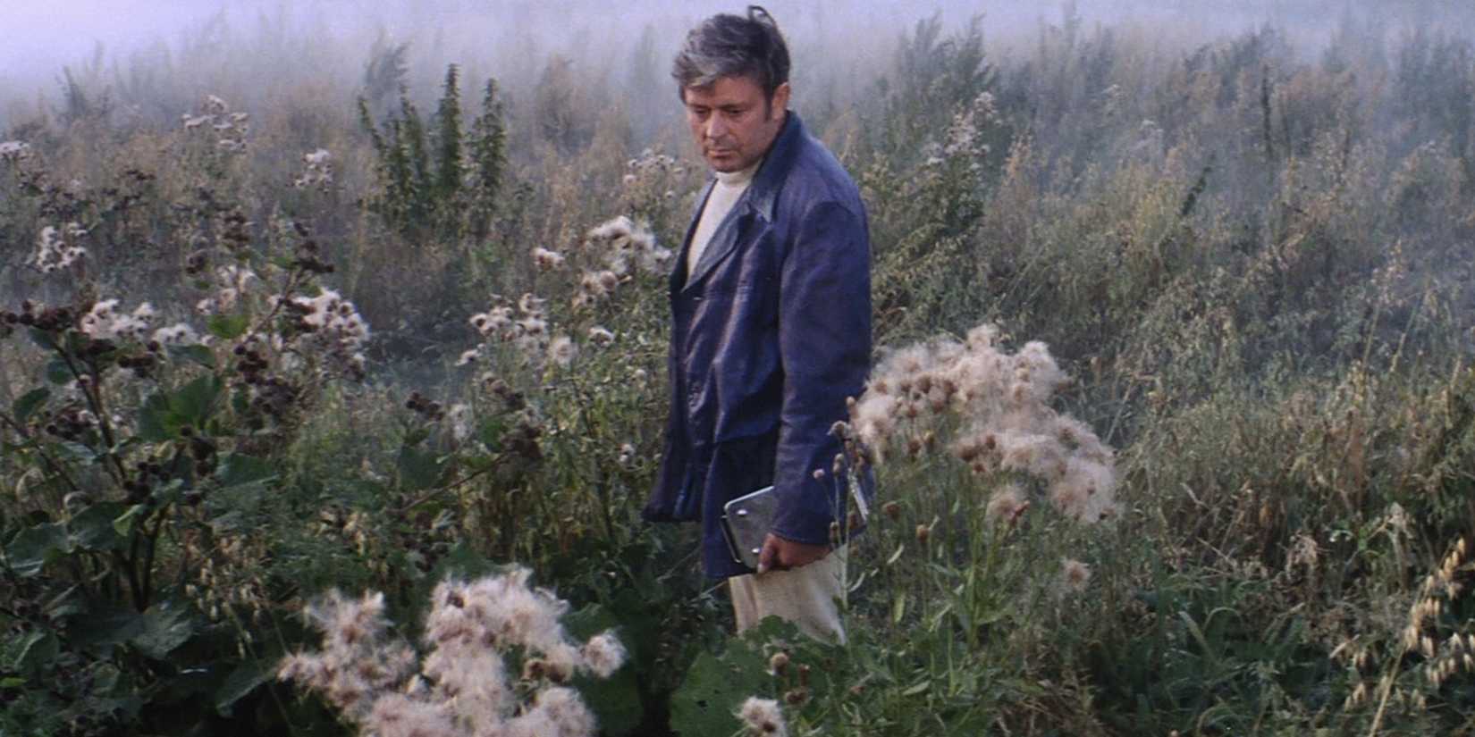 Donatas Banjonis as Kris Kelvin in the middle of a flower field in Andrei Tarkovsky's Solaris, 1972.