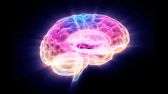 mult-color-glowing-brain.webp