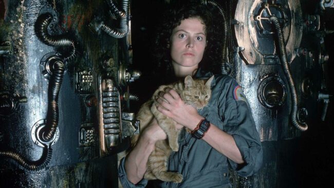 sigourney-weaver-as-ripley-with-a-cat-in-alien.jpg