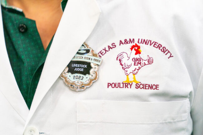 Daniel De Leon judges turkey hens during the San Antonio Livestock Show