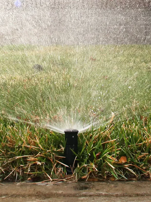 22131608_web1_WATER-GRASS-MAR06-19bt03.jpg