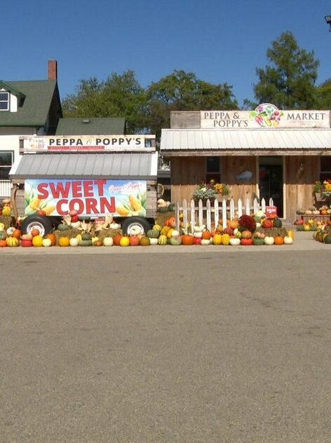4p-pkg-mn-farm-stands-wccobcbm.jpg