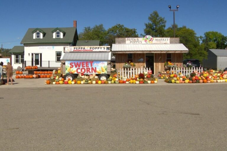 4p-pkg-mn-farm-stands-wccobcbm.jpg