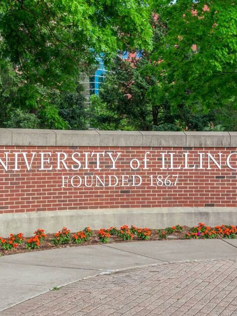 6ab324fd48086.preview.jpg