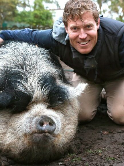 Bondi-Vet-1-e1789998012808.jpg