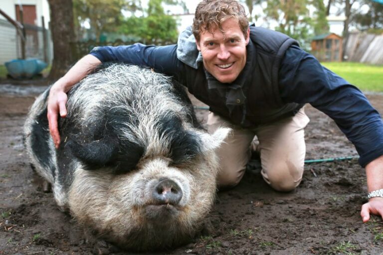 Bondi-Vet-1-e1789998012808.jpg
