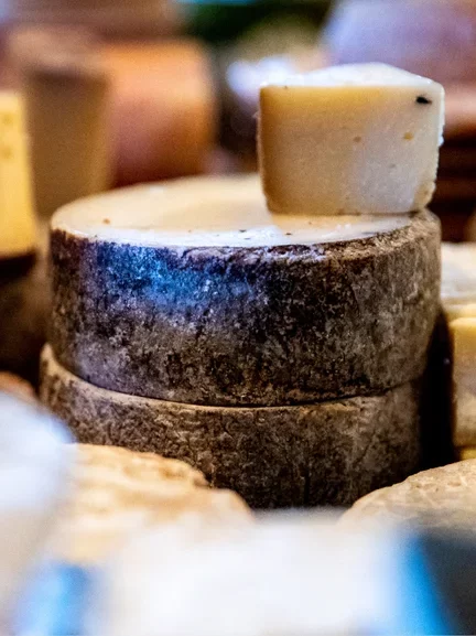 CHEESE.jpg