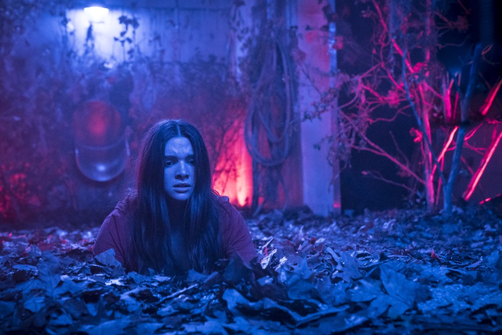 haunt