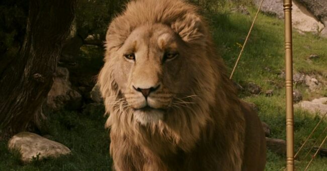 aslan-chronicles-of-narnia.jpg