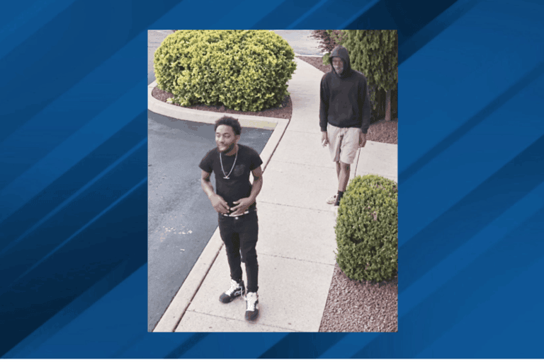 c5c7a84f-25bf-4869-8181-cbe678e6747b-CluckUtheftsuspects.png