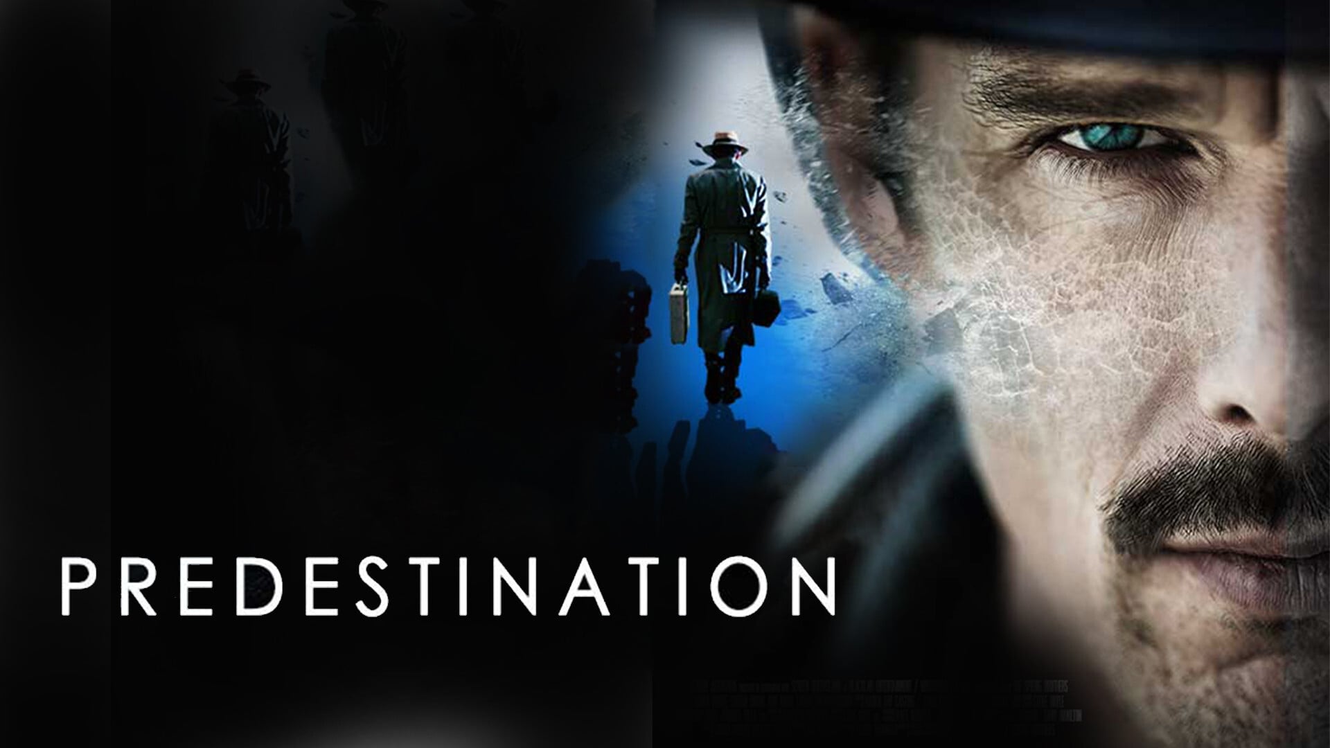 Predestination (2014)
