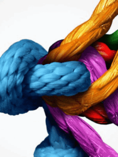 Untitled-design-14-768×307.png