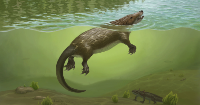 hero-megacauda-life-restoration.png