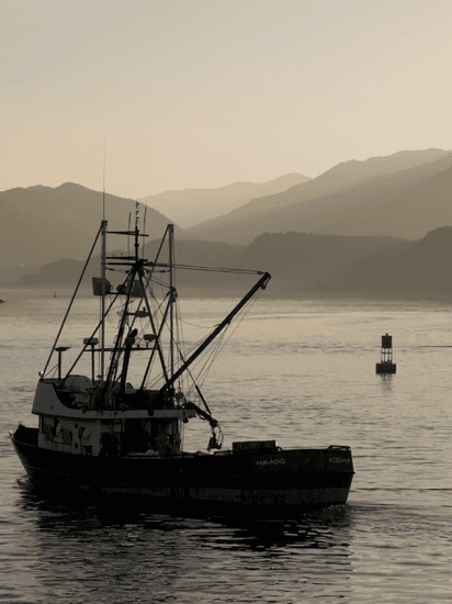 nat-alaska-fish-topper-still-facebookJumbo.png